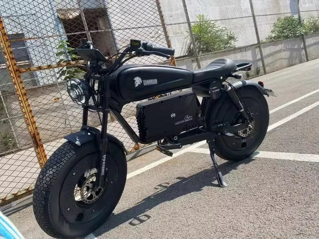 ZPW Black Warrior 1500W Motorbikes 48V 60AH Ebike Adult Road Electric Bicycle 20 Inch Off-Road Fat Tyre Electric Bike