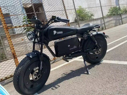 ZPW Black Warrior 1500W Motorbikes 48V 60AH Ebike Adult Road Electric Bicycle 20 Inch Off-Road Fat Tyre Electric Bike